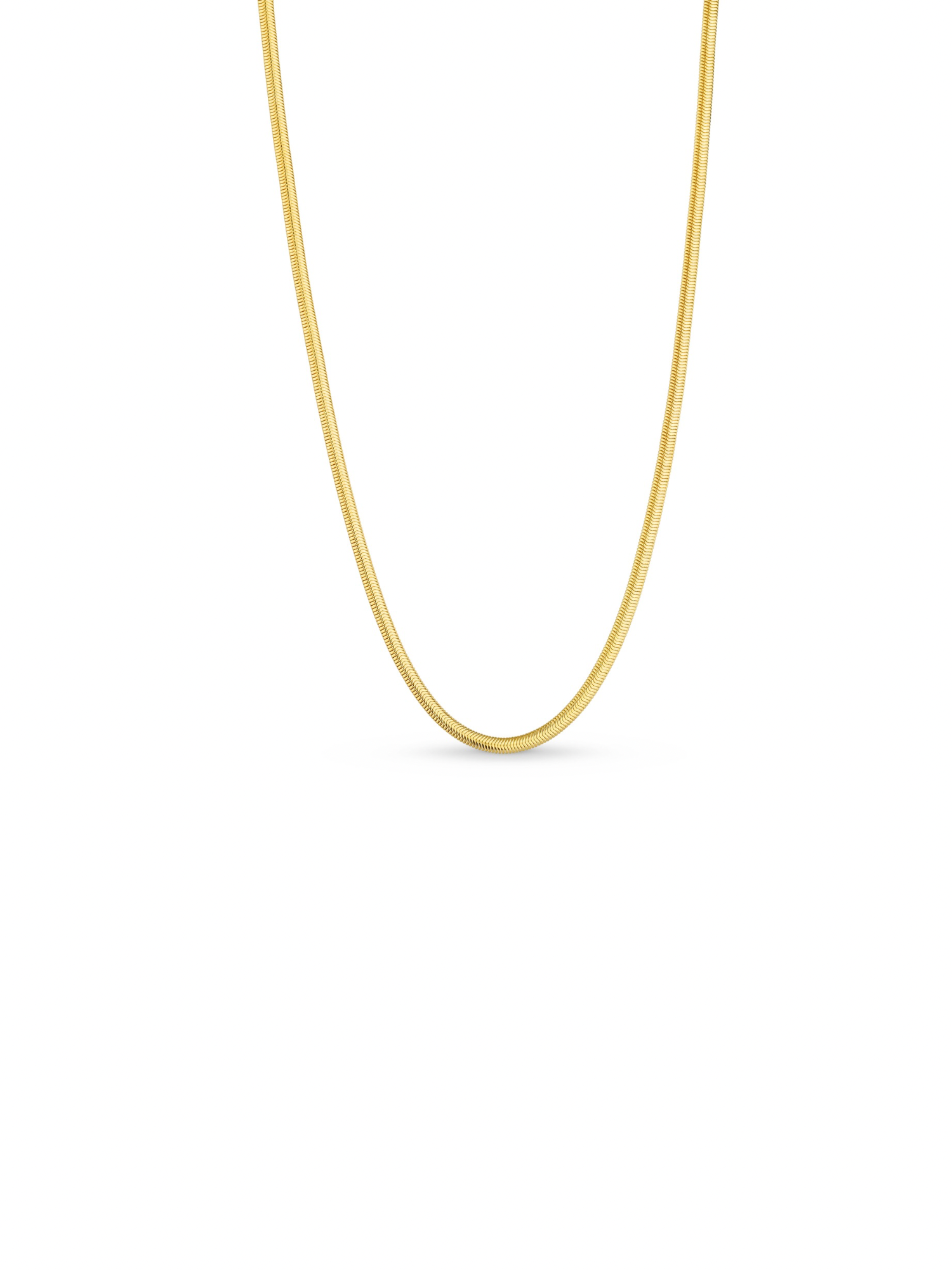 Untitled design - 28